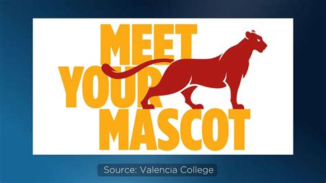 The Journey of the Valencia College Mascot: Behind the Creation and Naming Process